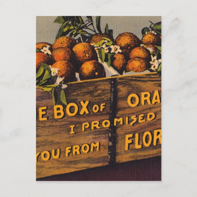 Cartão Postal Vintage Retro Florida Orange (Frente)