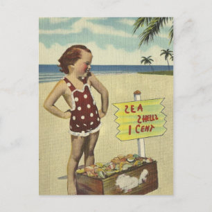 Cartão Postal Vintage Retro Sea Shelds Flórida