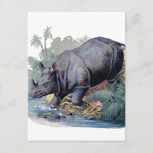 Cartão Postal Vintage Rhino