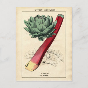 Cartão Postal Vintage Rhubarb Impressão Botânico