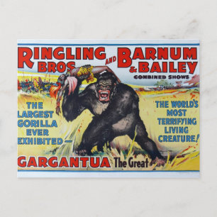Cartão postal Vintage Ringling Bros