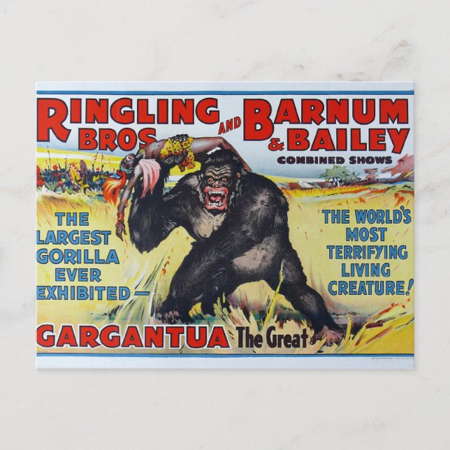 Cartão postal Vintage Ringling Bros (Frente)