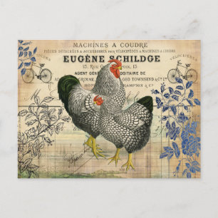 Cartão Postal Vintage Rooster e Hen Ephemera