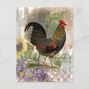 Cartão Postal Vintage Rooster French Collage Pet Fazenda