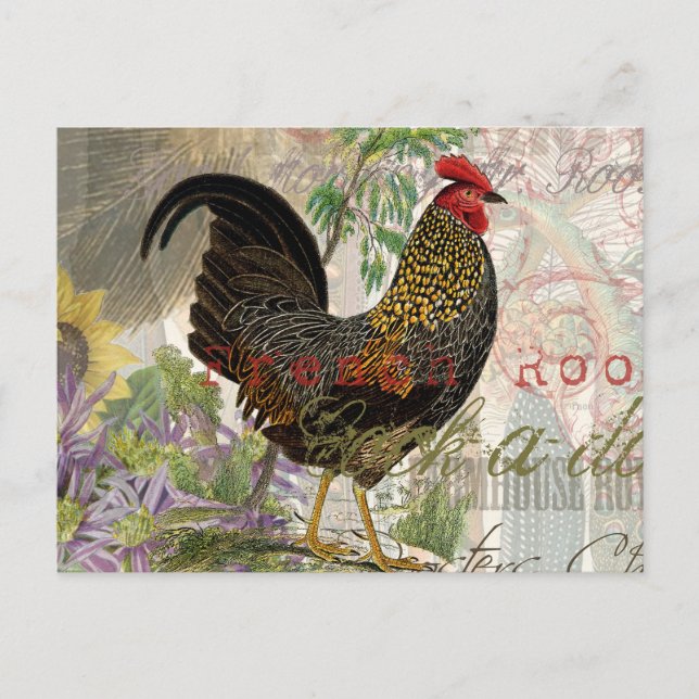 Cartão Postal Vintage Rooster French Collage Pet Fazenda (Frente)
