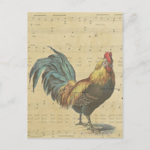 Cartão Postal Vintage Rooster Sheet Music Notes Rustic Country
