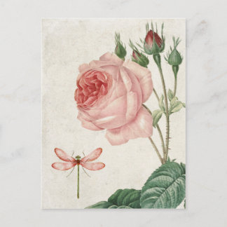 Cartão Postal Vintage Rosa e Dragonfly