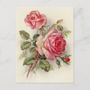 Cartão postal Vintage rosa floral elegante