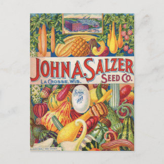 Cartão Postal Vintage Salzer Seed Catalog Vegetais