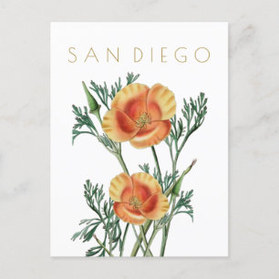 Cartão Postal Vintage San Diego - viagem de flor do estado