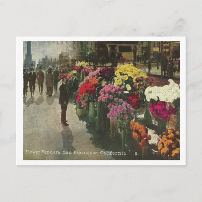 Cartão Postal Vintage San Francisco (Frente)