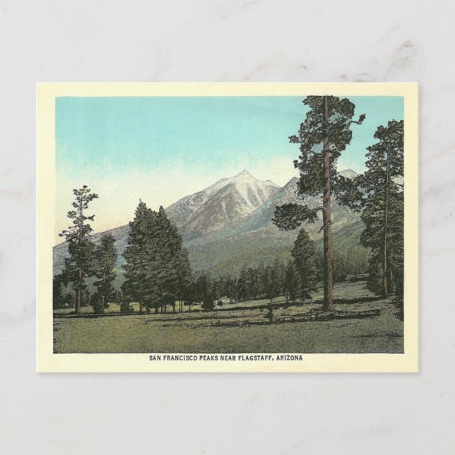 Cartão Postal Vintage San Francisco Peaks (Frente)
