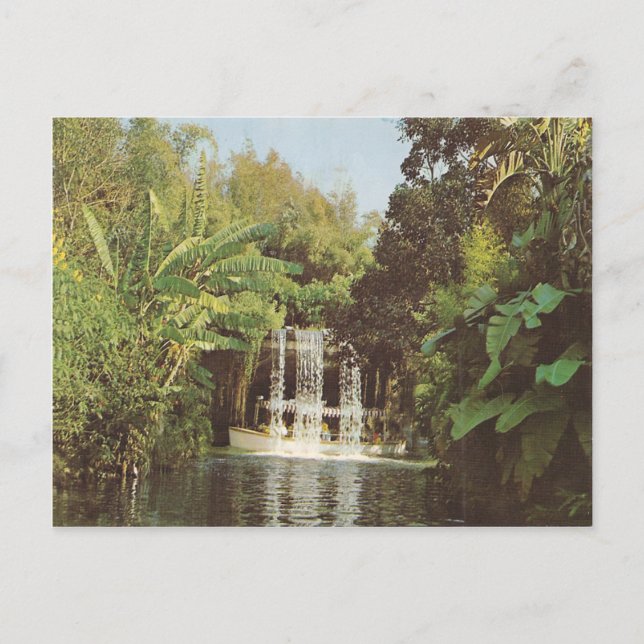 Cartão Postal Vintage Schweitzer Falls (Frente)