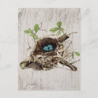 vintage script ephemera bird nest french botanch