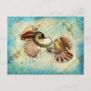 Cartão Postal Vintage Seashell Ocean Blue