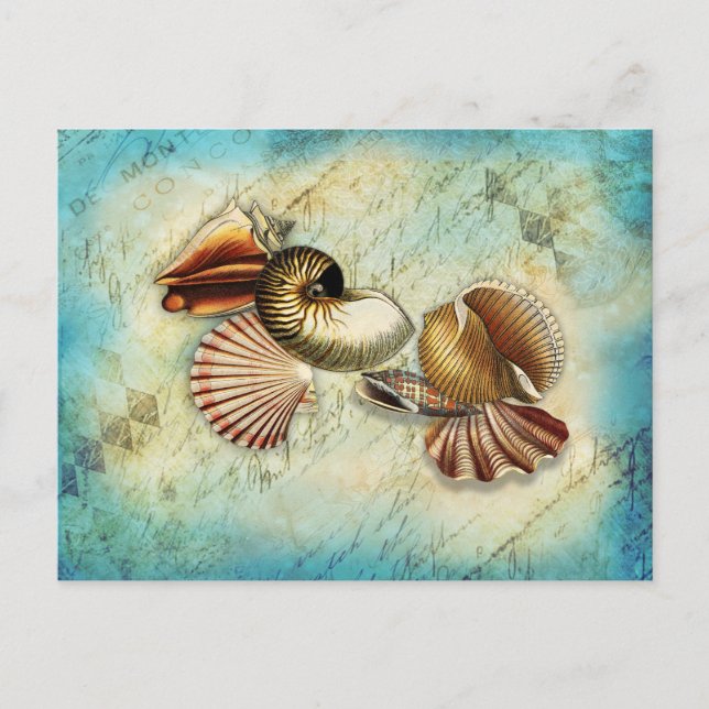 Cartão Postal Vintage Seashell Ocean Blue (Frente)