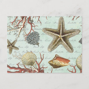 Cartão Postal Vintage Seashells...cartão postal