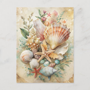 Cartão Postal Vintage Seashells Starfish Ocean Beach Coastal