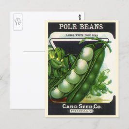 Cartão Postal Vintage Seed Packet Label Art, Feijões de Lima Pol