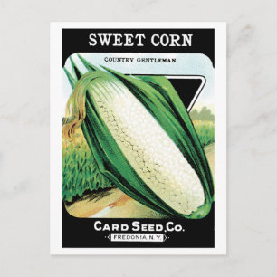 Cartão Postal Vintage Seed Packet Label Art, Sweet White Corn