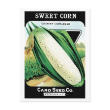 Vintage Seed Packet Label Art, Sweet White Corn