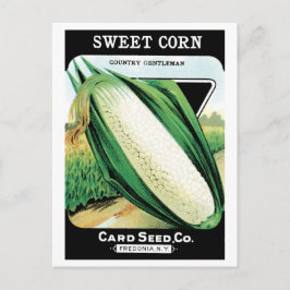 Cartão Postal Vintage Seed Packet Label Art, Sweet White Corn