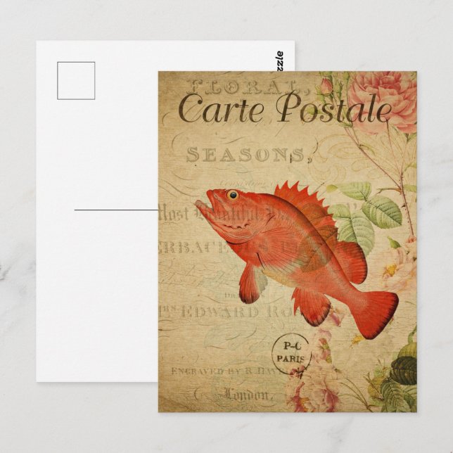 Cartão Postal Vintage Sepia Orange Goldfish (Frente/Verso)