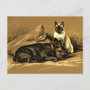 Cartão Postal Vintage Siamese Cat e French Buldog