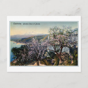 Cartão Postal Vintage Sicília Jardim Duque de Bronte (Lord Nels