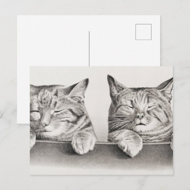 Cartão Postal Vintage Sleeping Cats Lithógrafo, 1874 (Frente/Verso)