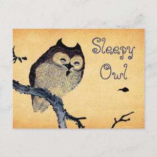 Cartão Postal Vintage Sleepy Owl