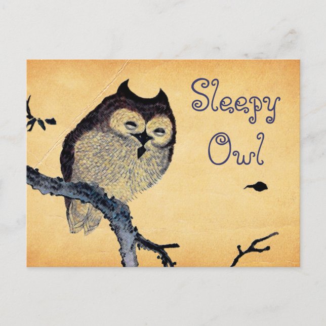 Cartão Postal Vintage Sleepy Owl (Frente)