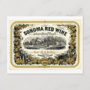 Cartão Postal Vintage Sonoma Valley Red Wine