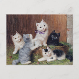 Cartão Postal Vintage Sophie Sperlich Kittens