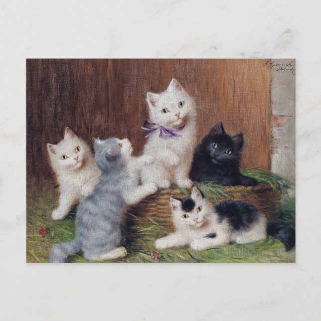 Cartão Postal Vintage Sophie Sperlich Kittens (Frente)