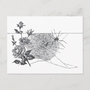 Cartão Postal Vintage Spider Web and Rose