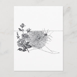 Cartão Postal Vintage Spider WEb e Rosa