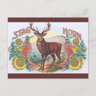 Cartão Postal Vintage Stag