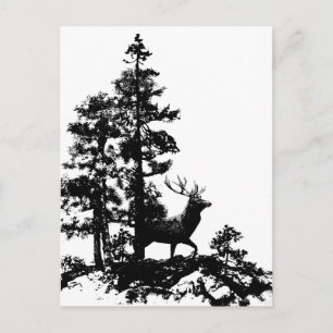 Cartão Postal Vintage Stag Deer Black White Animal