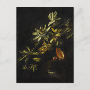 Cartão Postal Vintage still life with Passionflower