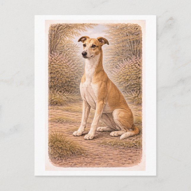 Cartão Postal Vintage-Style Greyhound (Frente)
