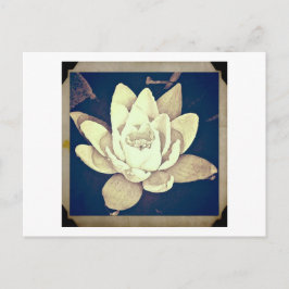 CARTÃO POSTAL VINTAGE STYLE LOTUS "FOTOGRAFIA"