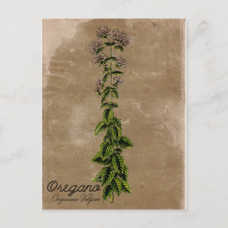 Cartão postal Vintage Style Orégano