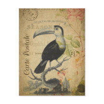 Vintage Style Toucan French Carte Postale