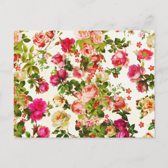 Cartão Postal Vintage Summer Pink Rose Flowies (Frente)