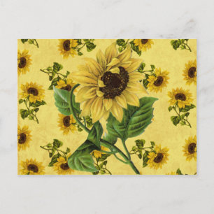 Cartão Postal Vintage Sunflower
