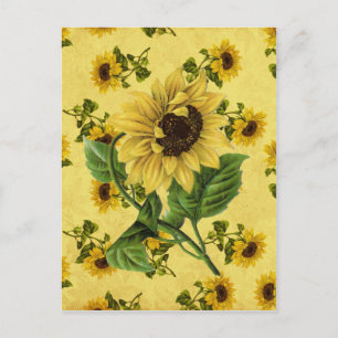 Cartão Postal Vintage Sunflower