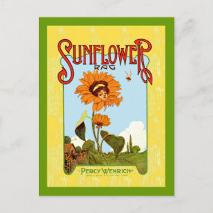 Cartão Postal Vintage Sunflower Music