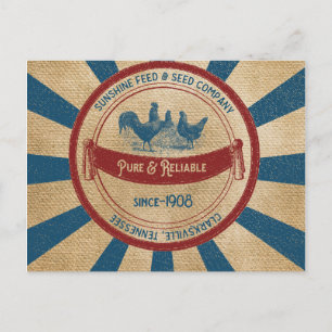 Cartão Postal Vintage Sunshine Feed Chickens Anúncio