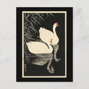 Cartão Postal Vintage Swans de Ohara Koson